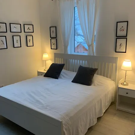 U Kacirku Villa Horní Planá