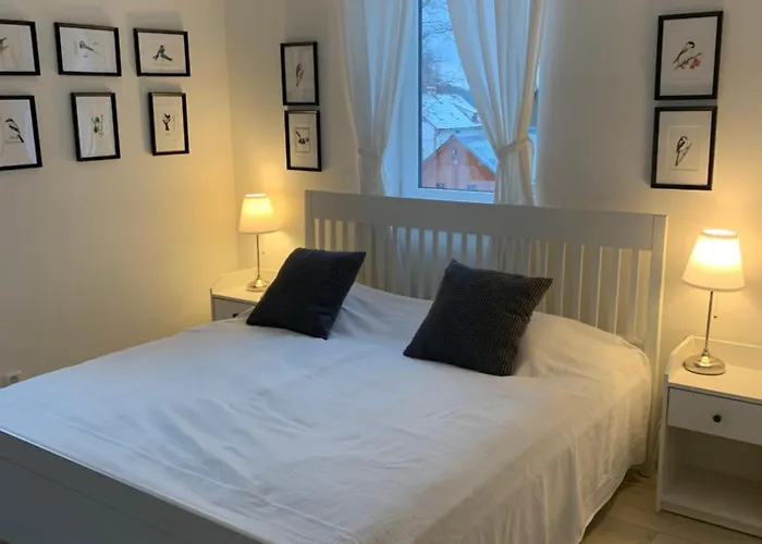 U Kacirku Villa Horní Planá